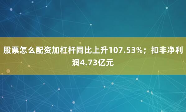 股票怎么配资加杠杆同比上升107.53%；扣非净利润4.73亿元