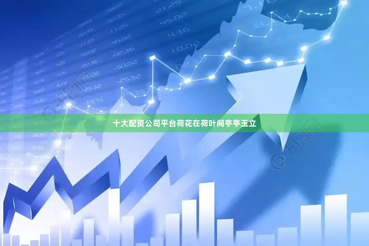 十大配资公司平台荷花在荷叶间亭亭玉立