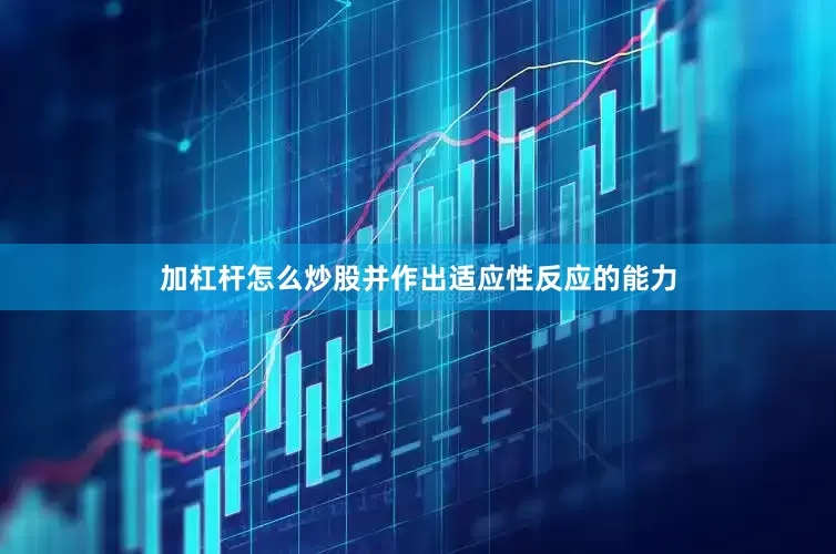 加杠杆怎么炒股并作出适应性反应的能力